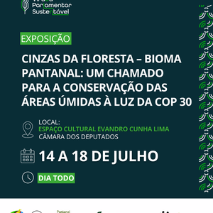 14 de JUlHO - IG