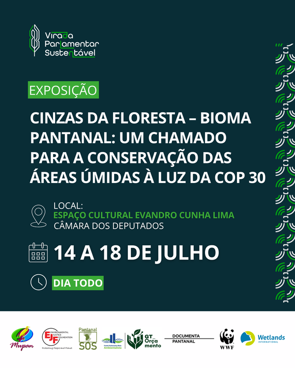 14 de JUlHO - IG