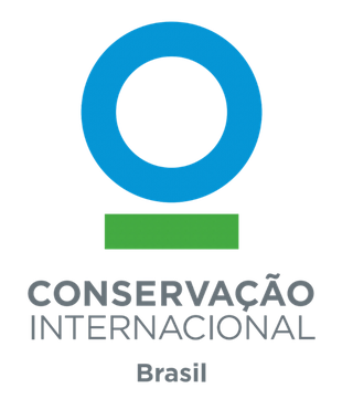 Copia-de-CI-Brasil-1